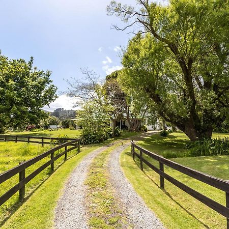 Jacaranda Lodge Coromandel Kültér fotó