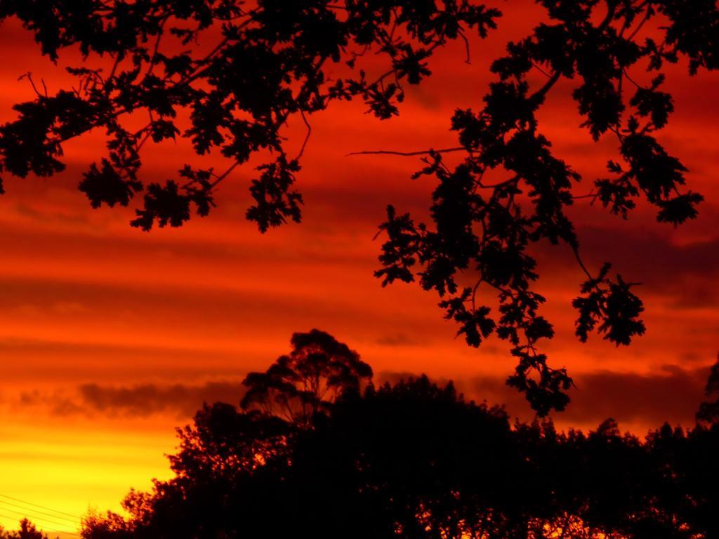 Jacaranda Lodge Coromandel Kültér fotó