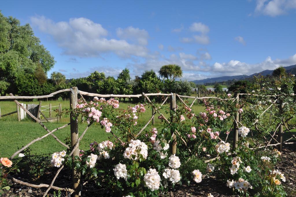 Jacaranda Lodge Coromandel Kültér fotó