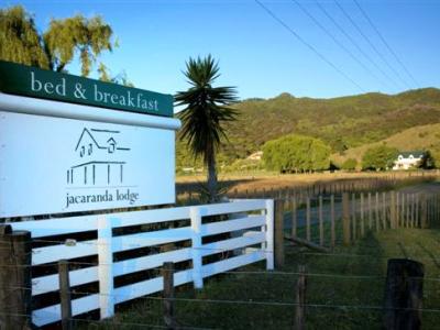 Jacaranda Lodge Coromandel Kültér fotó